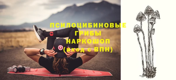 твердый Армянск