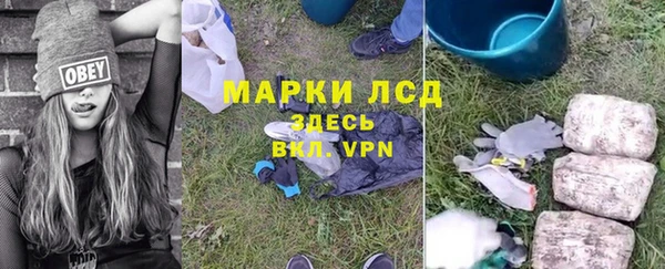 сатива Алексин