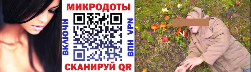 Псилоцибиновые грибы Psilocybine cubensis  Бабаево 
