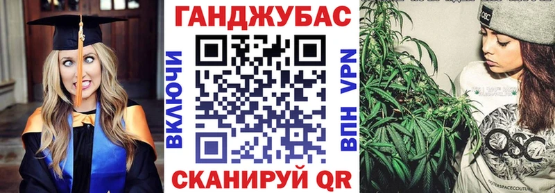 где продают   Бабаево  Каннабис план 